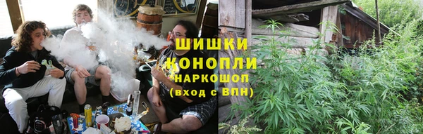 spice Алзамай