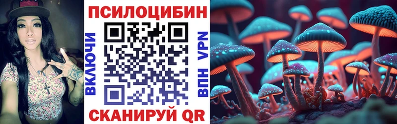 где продают Богородск Псилоцибиновые грибы мицелий